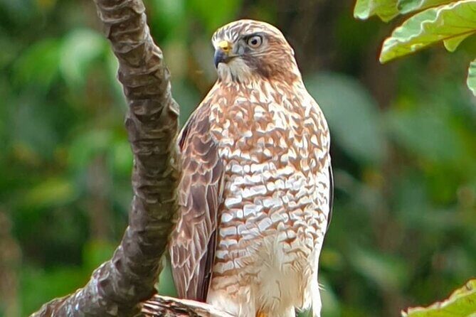 Cloud Forest Small Group Tour - Why This Tour Offers Great Value