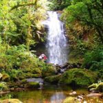 Cloud Forest Wildlife Hike 8:30am (Minimum of 2 people required ) - Who Will Love This Experience?