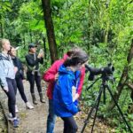 Cloud forest wonders guided tour - A Deep Dive into the Cloud Forest Wonders Guided Tour