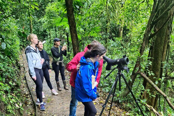 Cloud forest wonders guided tour - A Deep Dive into the Cloud Forest Wonders Guided Tour