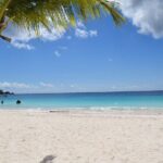 Coach charter in Barbados for 3 to 4 hours for up to 20 persons - Highlights of the Tour Experience