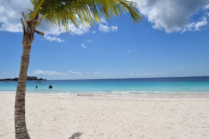 Coach charter in Barbados for 3 to 4 hours for up to 20 persons - Highlights of the Tour Experience