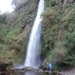 Coastal Villages Tour of Chiloé from Castro - What Makes This Tour Stand Out?