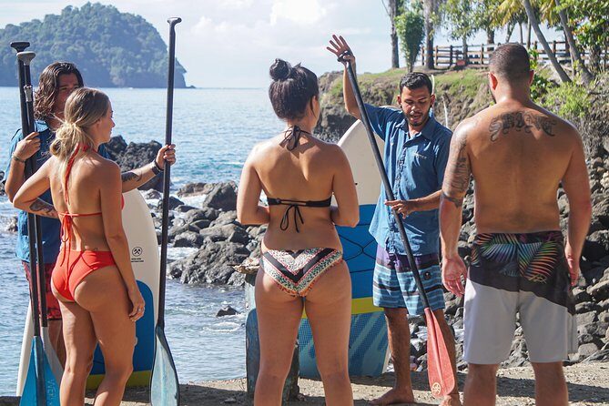 Coastline Paddle Board Tour - An In-Depth Look at the Coastline Paddle Board Tour