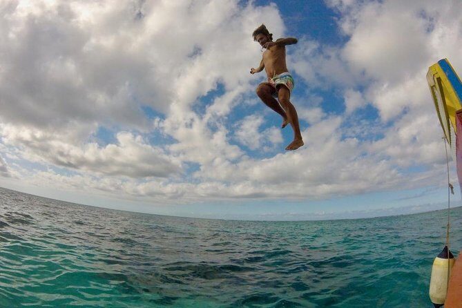 Coastline Snorkel and BBQ - Frequently Asked Questions