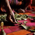 Coca Leaf Reading: Ancestral Ceremony -La Luz Retreat Temple - How to Make the Most of Your Experience