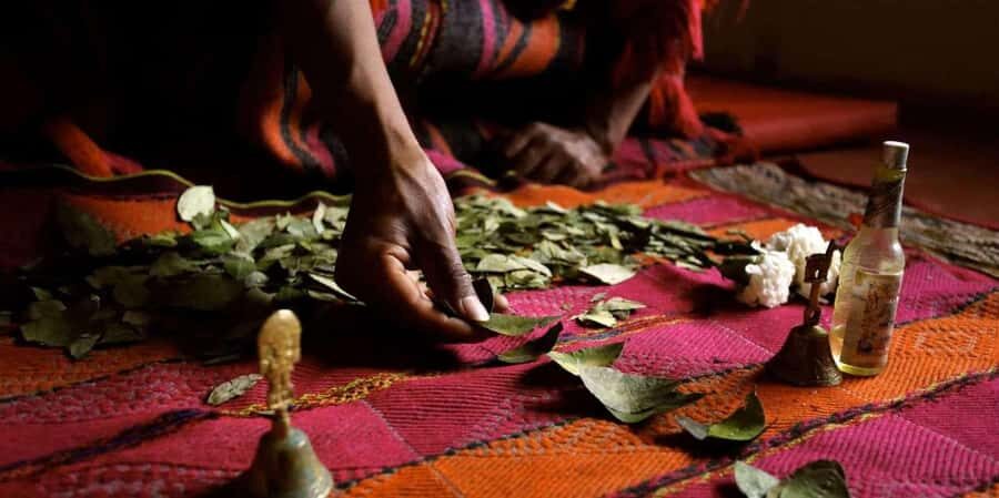 Coca Leaf Reading: Ancestral Ceremony -La Luz Retreat Temple - How to Make the Most of Your Experience