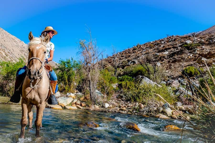Cochiguaz: Horseback Riding, River and Mountain Range - Who Will Love This Tour?