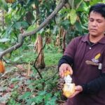 Cocoa and Cloud Forest private full day tour - Detailed Review of the Experience