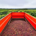 Cocoa and Coffee Farm Tours from Pereira or Armenia - Exploring Colombia’s Coffee and Cocoa Heritage