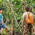 Cocoa and Gastronomy Tour at Hacienda CacaoyMango - The Transport and Logistics