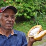 Cocoa & Artisan Chocolate Route with an Historical Tour in Puerto Plata City - Who Should Consider This Tour?