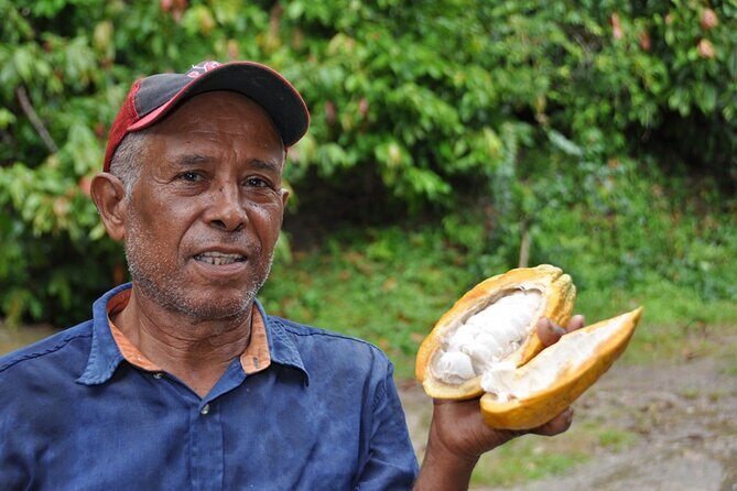 Cocoa & Artisan Chocolate Route with an Historical Tour in Puerto Plata City - Who Should Consider This Tour?
