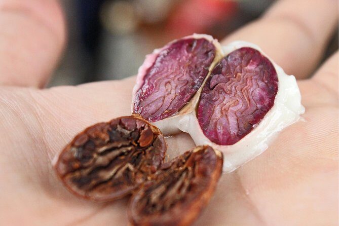 Cocoa farm and Chocolate making! - An In-Depth Look at the Cocoa Farm and Chocolate Tour