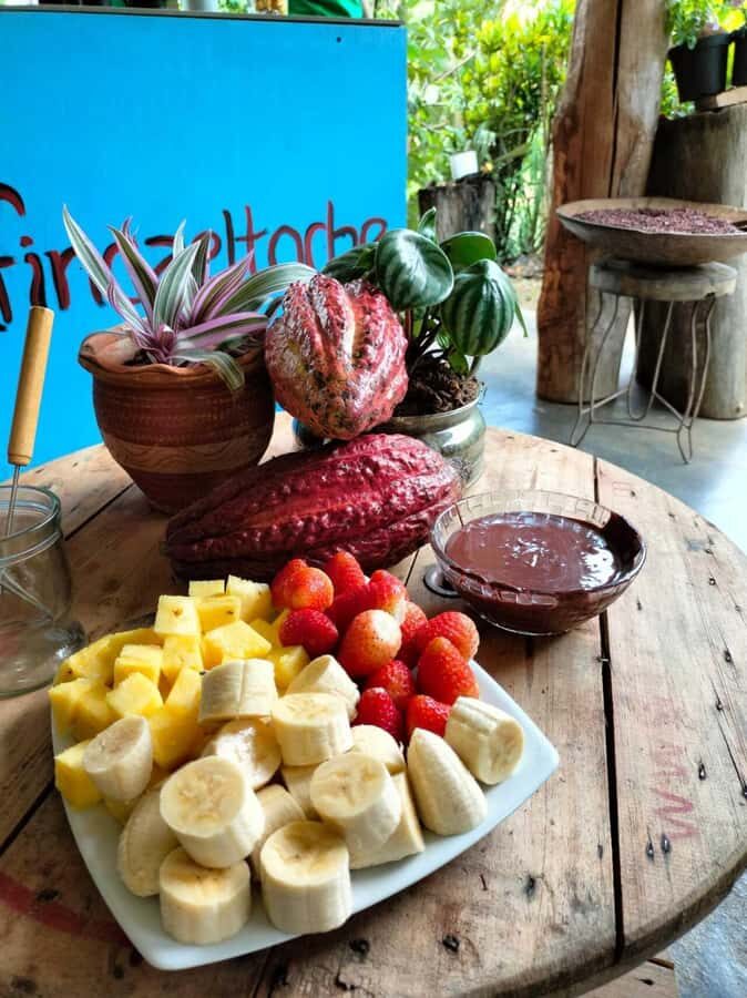 Cocoa Tour - San Rafael Antioquia from Medellín - Who Will Love This Tour?