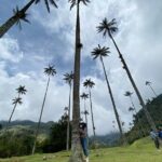 Cocora, Salento and Coffee Experience - Practical Aspects of the Tour