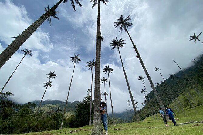 Cocora, Salento and Coffee Experience - Practical Aspects of the Tour