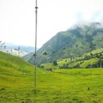 Cocora, Salento and Filandia (The daughter of the Andes) Walking Tour in Quindio - FAQ