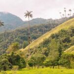 Cocora, Salento and Filandia Tour - Who Will Appreciate This Tour?
