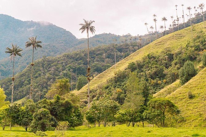 Cocora, Salento and Filandia Tour - Who Will Appreciate This Tour?