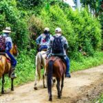 Cocora Valley and Salento Horseback Riding Day Tour - Authentic Experiences at a Reasonable Price