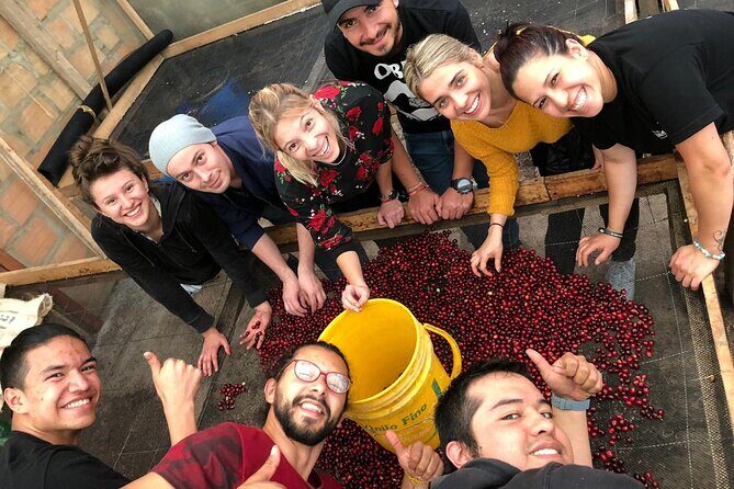 Cocora Valley, Salento and Coffee Farm Day Tour - The Practicalities and Value of This Tour