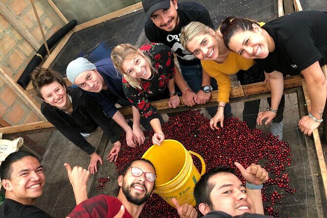 Cocora Valley, Salento and Coffee Farm Day Tour - Final Thoughts