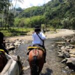 Cocora Valley: Salento & Private Horseback Riding Tour - The Sum Up
