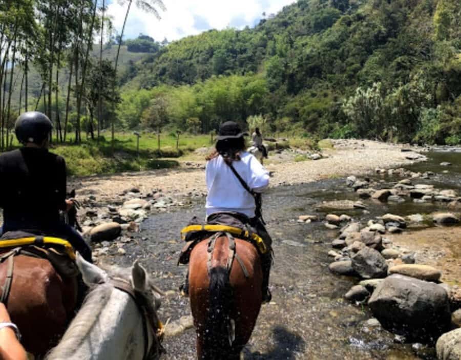 Cocora Valley: Salento & Private Horseback Riding Tour - The Sum Up