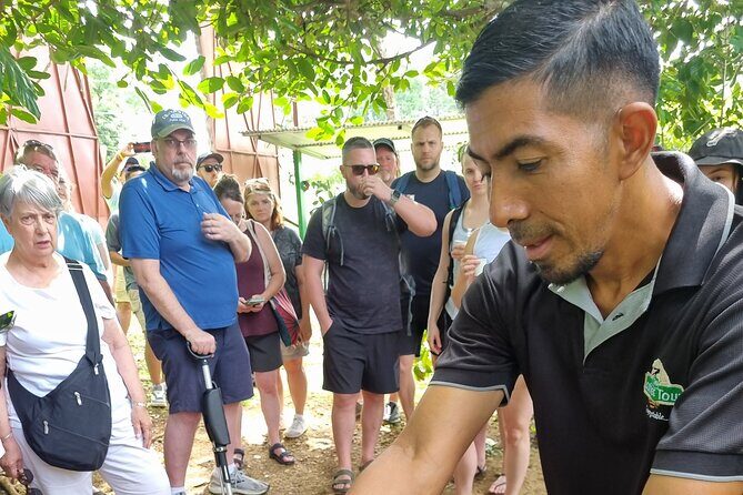 Coffe Tour and Chorotega Cultural Experience on the Blue zone - Final Thoughts