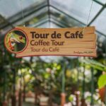 Coffee and Chocolate Regular Tour - An In-Depth Look at the Coffee and Chocolate Tour