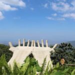 Coffee and Cocoa Tour in Minca! - Exploring the Coffee and Cocoa Tour in Minca