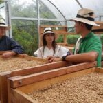 Coffee and Culture in Santa Rosa de Cabal - A Deep Dive into Coffee and Nature in Santa Rosa de Cabal