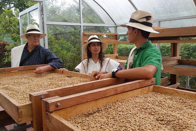 Coffee and Culture in Santa Rosa de Cabal - A Deep Dive into Coffee and Nature in Santa Rosa de Cabal