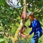 Coffee & Chocolate Private Tour in Medellin: Genuine Experience - Who Is This Tour Best For?