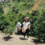 Coffee Experience - Exploring the Coffee Tour in Detail