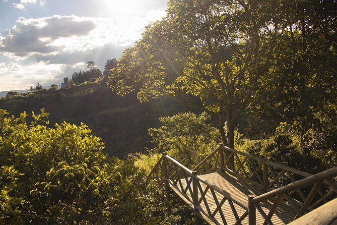 Coffee Experience from bean to cup - Frequently Asked Questions