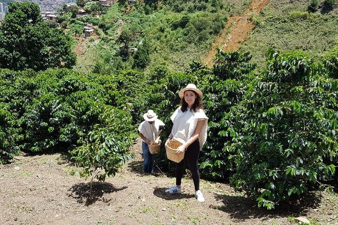 Coffee Experience - Exploring the Coffee Tour in Detail