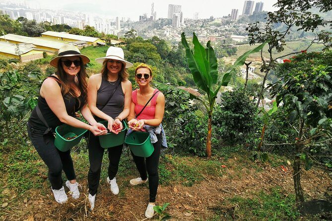 Coffee Farm & ATVs Private Tour in Medellin: Stunning Views & Fun - Who Is This Tour For?