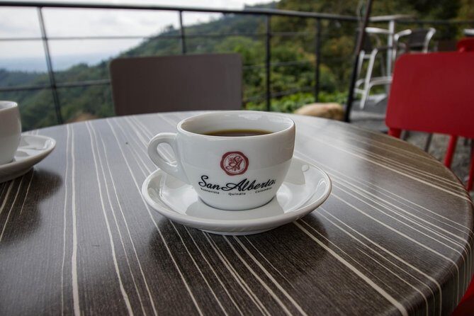 Coffee Farm Experience at Hacienda San Alberto from Salento - Who Will Love This Tour?