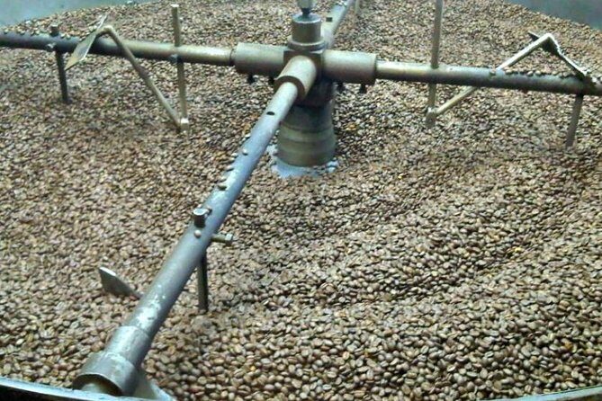 Coffee Farm Experience Private Day Tour - An In-Depth Look at the Coffee Farm Experience