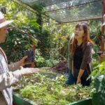 Coffee Plantation Tour From Bogota - Final Thoughts: Who Will Love This Coffee Tour?