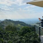 Coffee Region Andes Mountains: Coffee Tour, Pijao & Buenavista - Who Will Love This Tour?