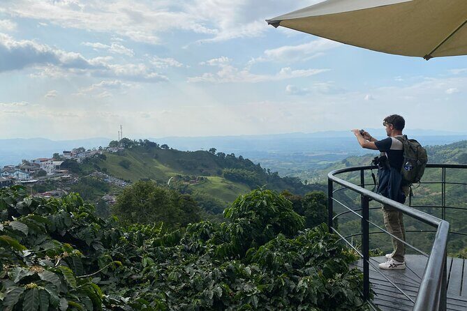 Coffee Region Andes Mountains: Coffee Tour, Pijao & Buenavista - Who Will Love This Tour?