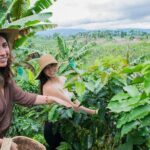Coffee Tour. - An In-Depth Look at the Coffee Tour Experience