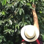 Coffee Tour - All inclusive - Medellín - Who Should Consider This Tour?