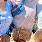 Coffee Tour and Jeep Tour at Finca Mariposa in Jardin - Practical Details and What You Should Know