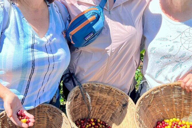 Coffee Tour and Jeep Tour at Finca Mariposa in Jardin - Practical Details and What You Should Know