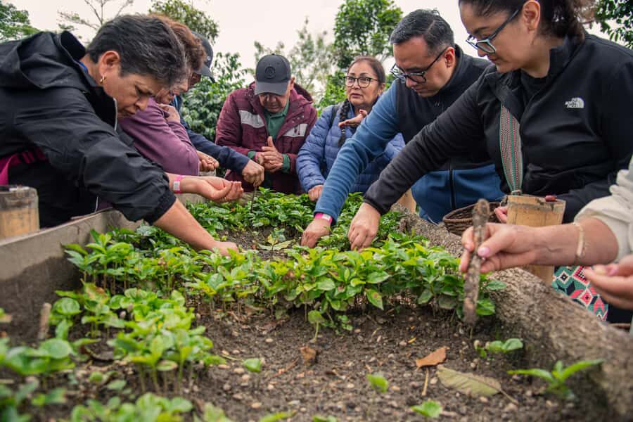 Coffee Tour at Finca El Ocaso Salento: Finca Tradicional-Español - Final Thoughts