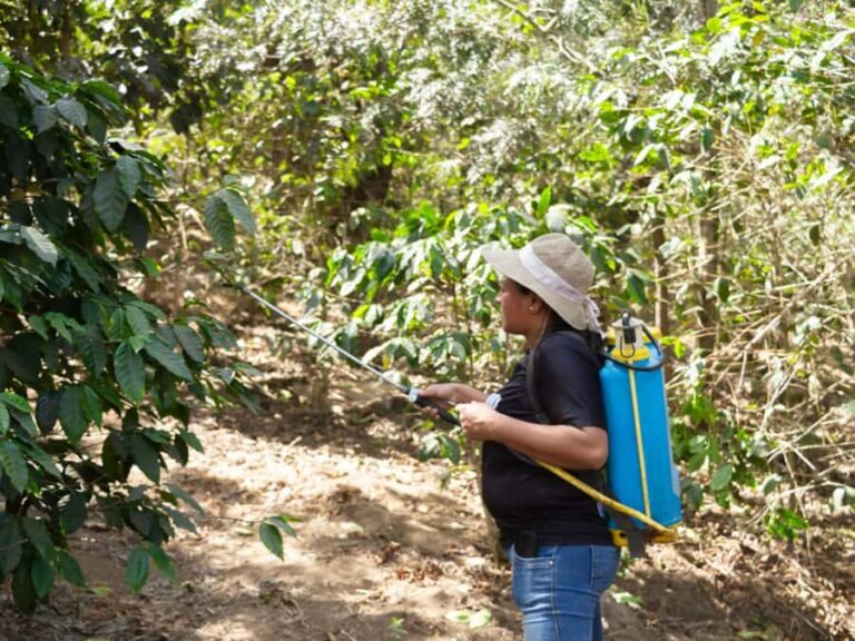 Coffee Tour in Antigua Guatemala - Who Should Consider This Tour?